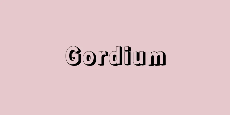 Gordium