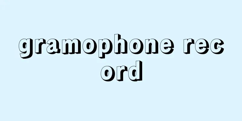 gramophone record