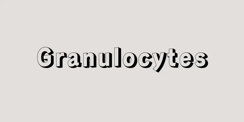 Granulocytes