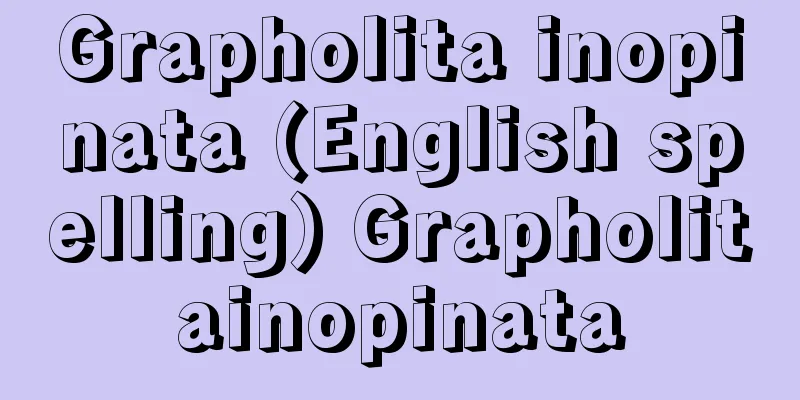 Grapholita inopinata (English spelling) Grapholitainopinata