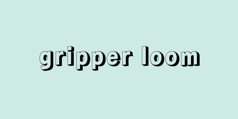 gripper loom