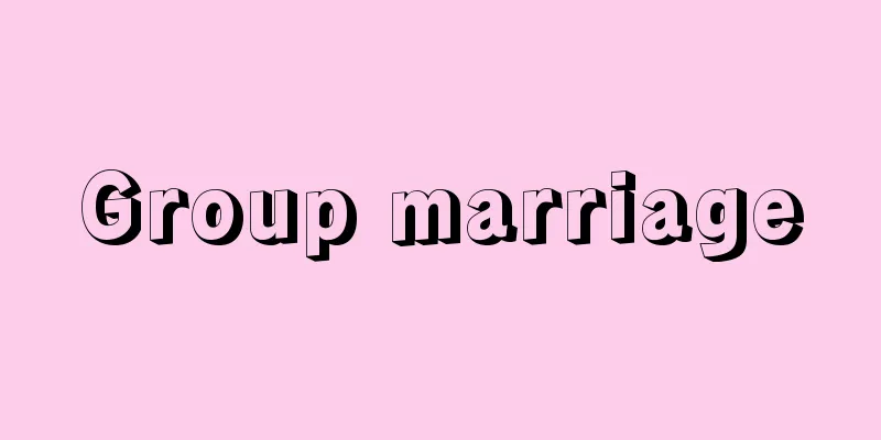 Group marriage