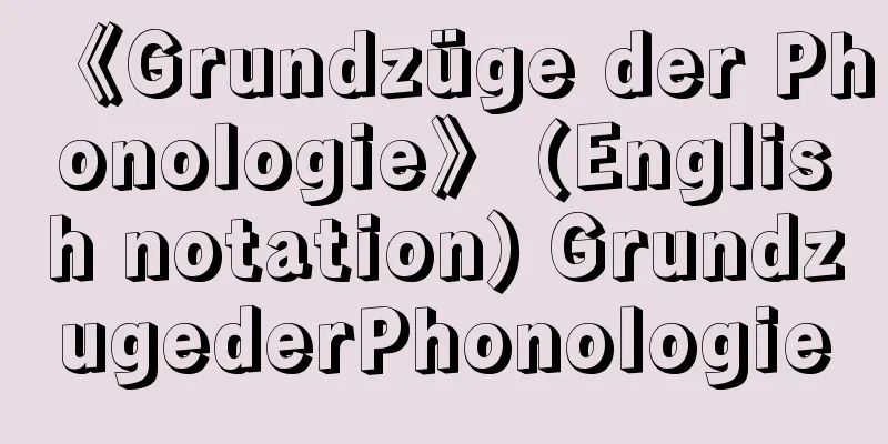 《Grundzüge der Phonologie》 (English notation) GrundzugederPhonologie