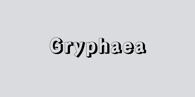 Gryphaea