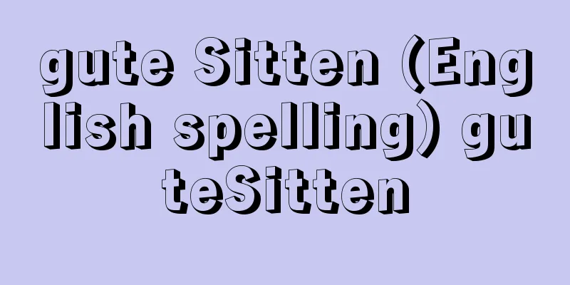 gute Sitten (English spelling) guteSitten