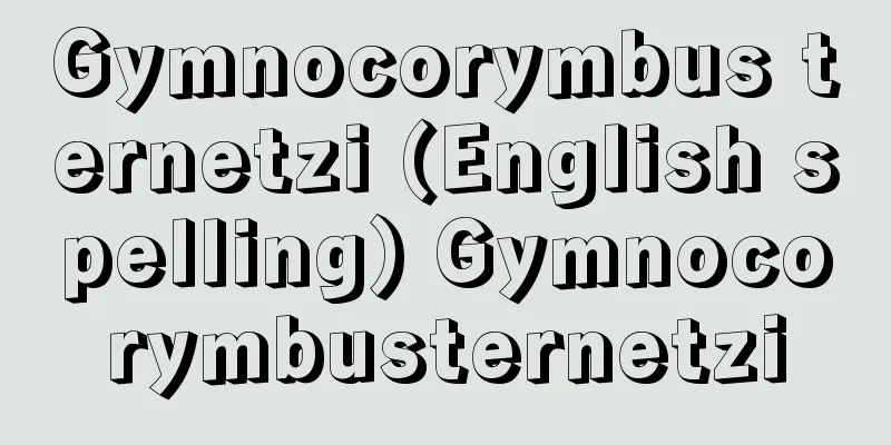 Gymnocorymbus ternetzi (English spelling) Gymnocorymbusternetzi