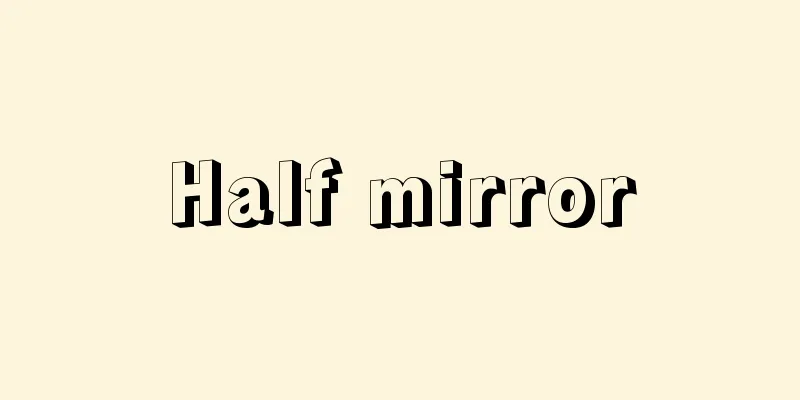 Half mirror