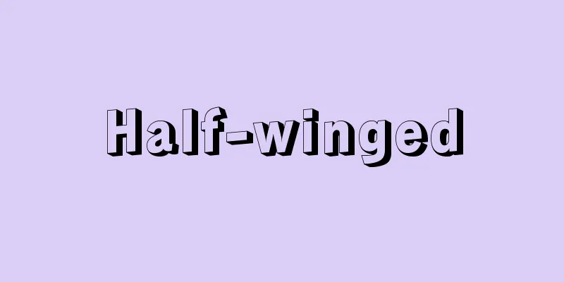 Half-winged