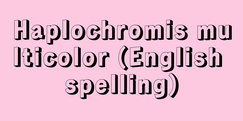 Haplochromis multicolor (English spelling)