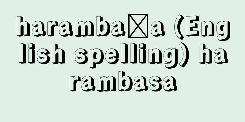 harambaşa (English spelling) harambasa