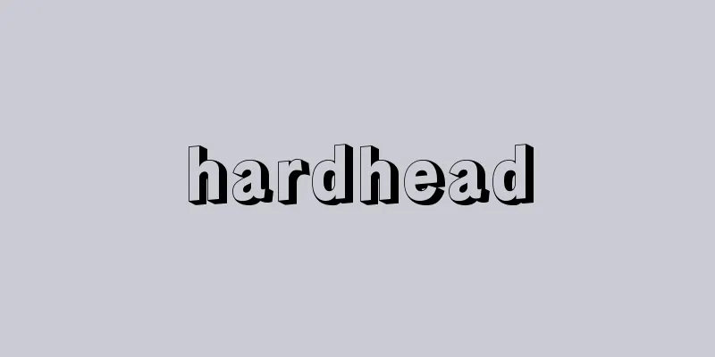 hardhead