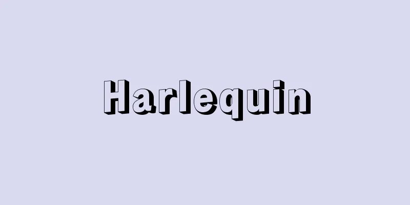 Harlequin