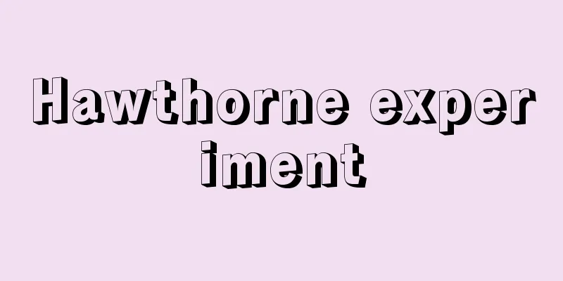 Hawthorne experiment