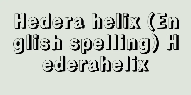 Hedera helix (English spelling) Hederahelix