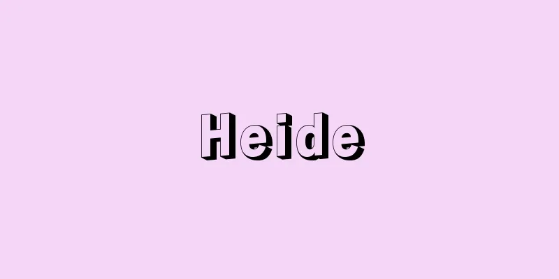 Heide