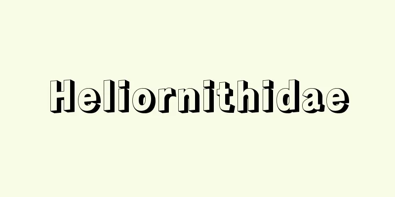 Heliornithidae