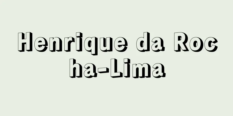 Henrique da Rocha-Lima
