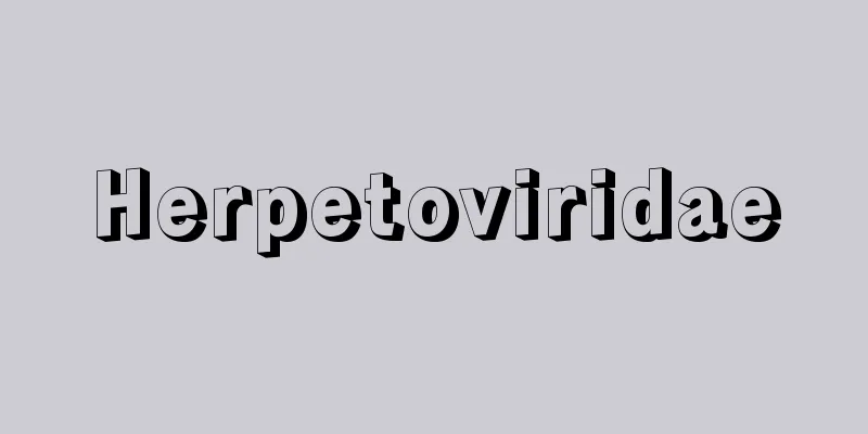 Herpetoviridae