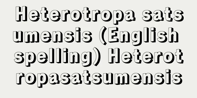 Heterotropa satsumensis (English spelling) Heterotropasatsumensis