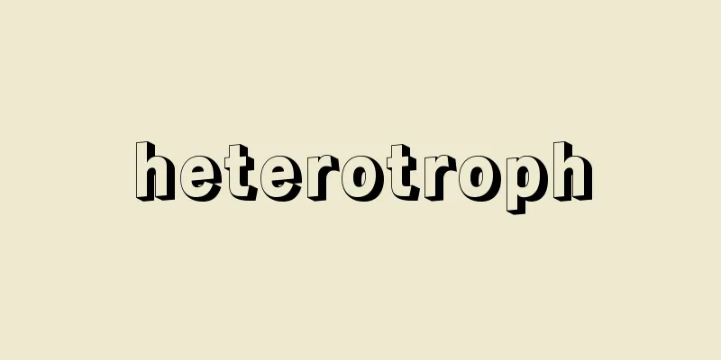 heterotroph