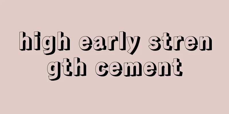 high early strength cement