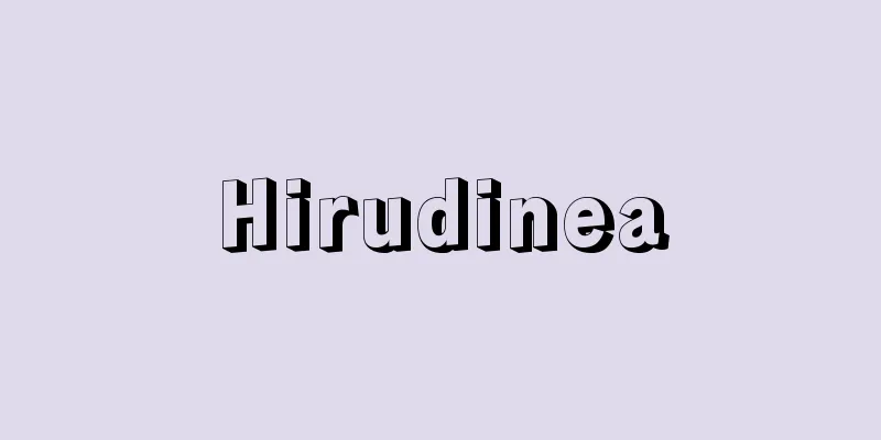 Hirudinea