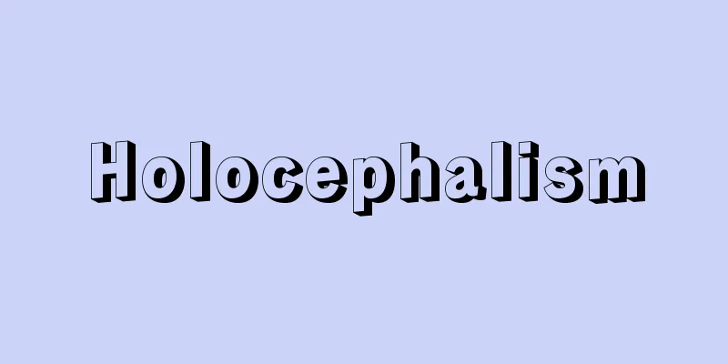 Holocephalism