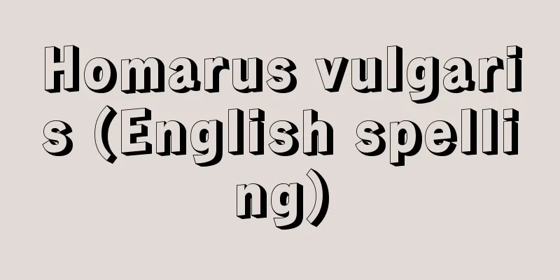 Homarus vulgaris (English spelling)