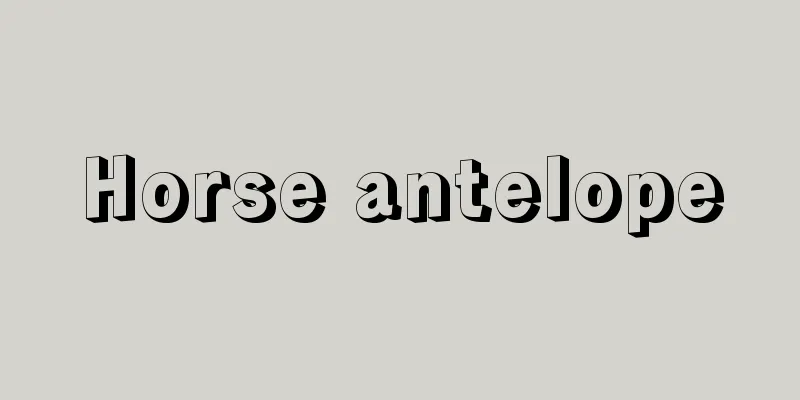 Horse antelope