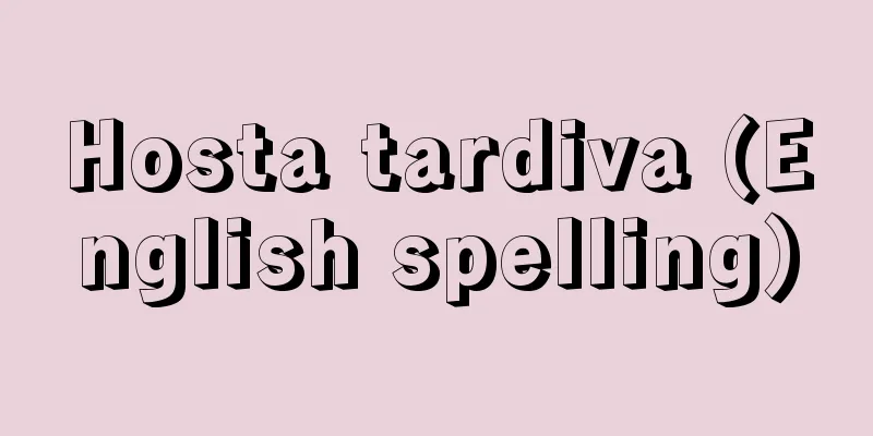 Hosta tardiva (English spelling)