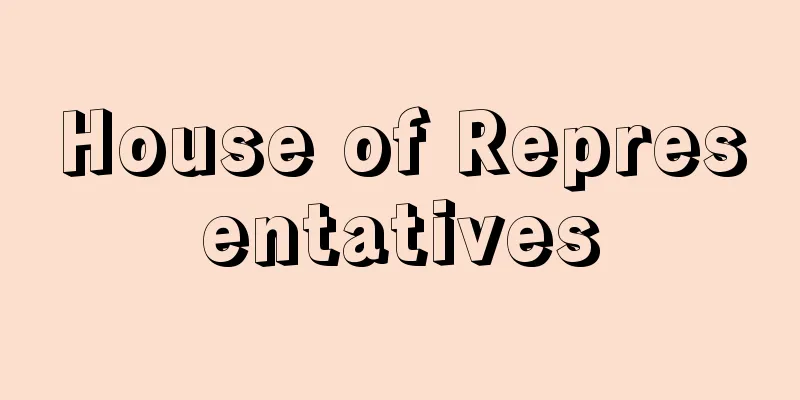 House of Representatives