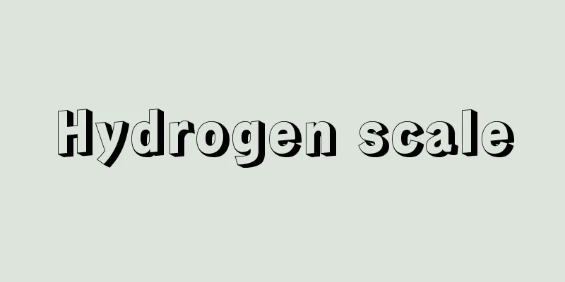 Hydrogen scale