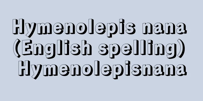 Hymenolepis nana (English spelling) Hymenolepisnana