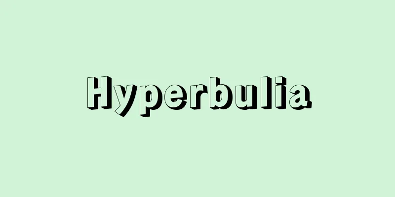 Hyperbulia