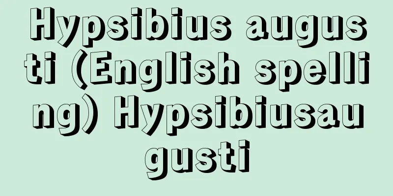 Hypsibius augusti (English spelling) Hypsibiusaugusti