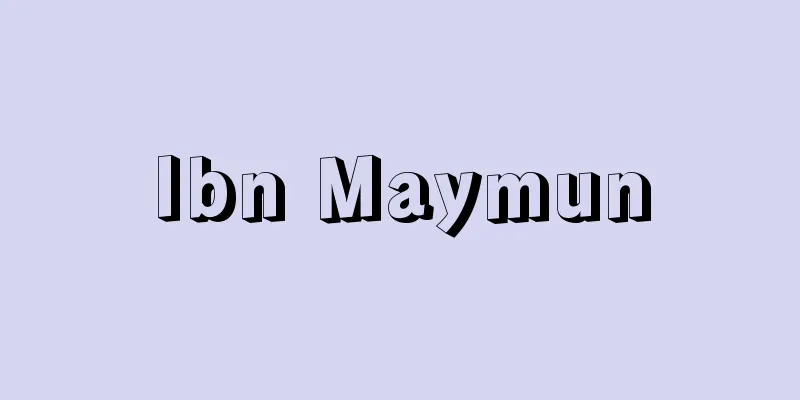 Ibn Maymun