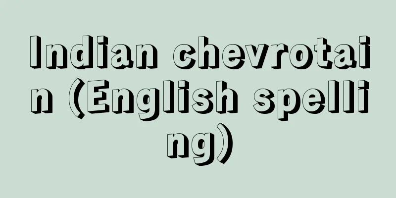 Indian chevrotain (English spelling)