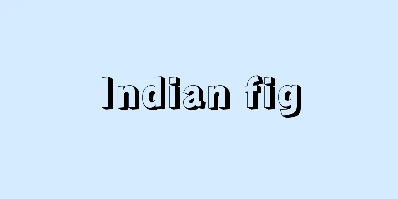 Indian fig