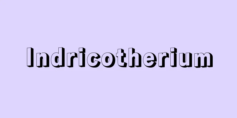 Indricotherium