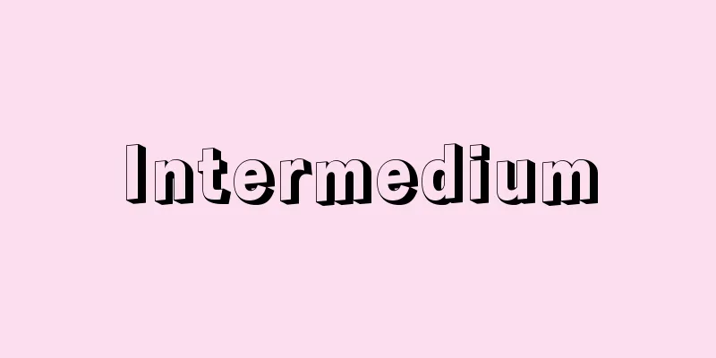 Intermedium