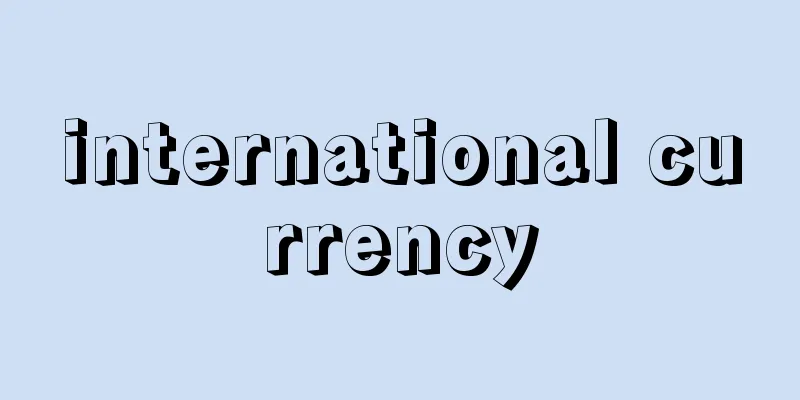 international currency