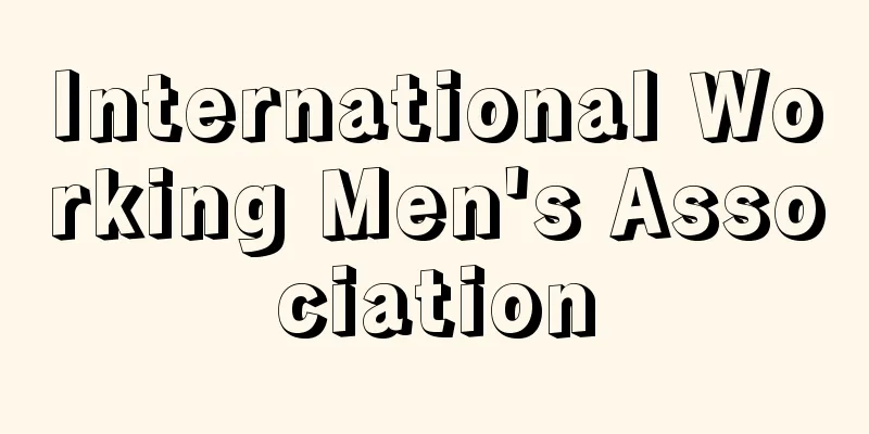 International Working Men's Association