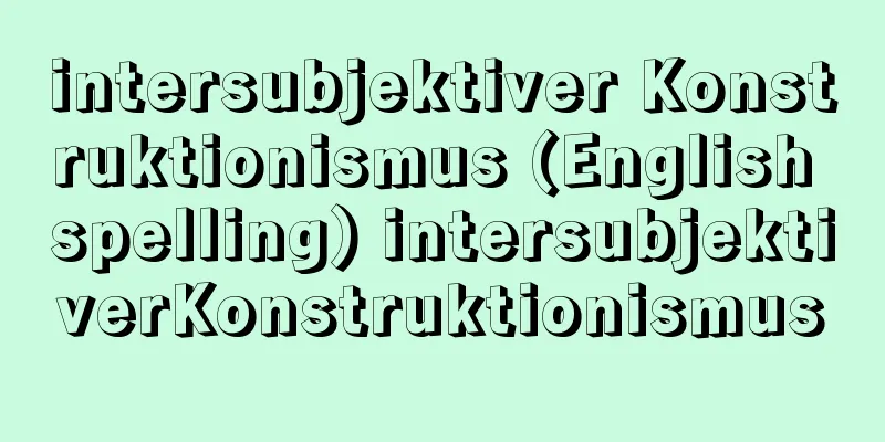 intersubjektiver Konstruktionismus (English spelling) intersubjektiverKonstruktionismus