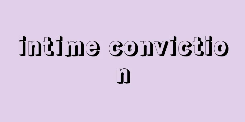 intime conviction