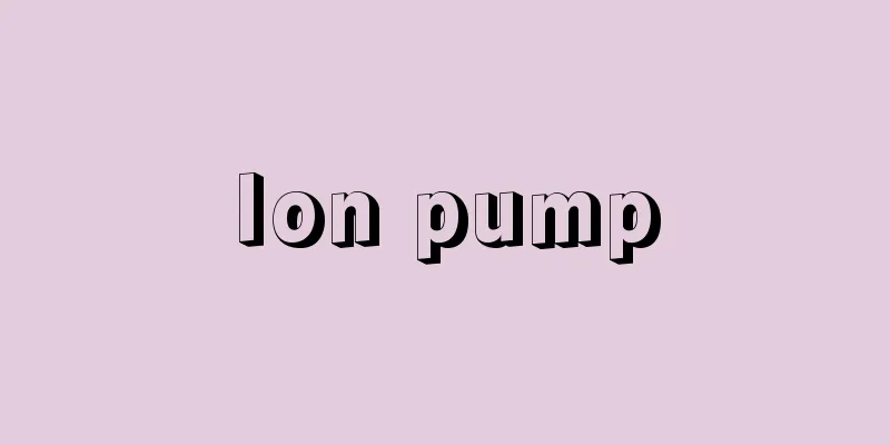 Ion pump
