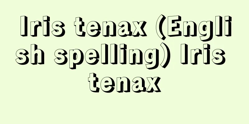 Iris tenax (English spelling) Iris tenax