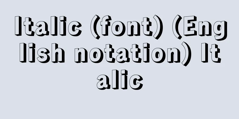 Italic (font) (English notation) Italic