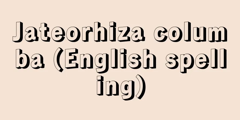 Jateorhiza columba (English spelling)