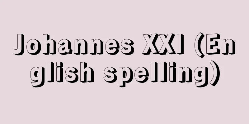 Johannes XXI (English spelling)