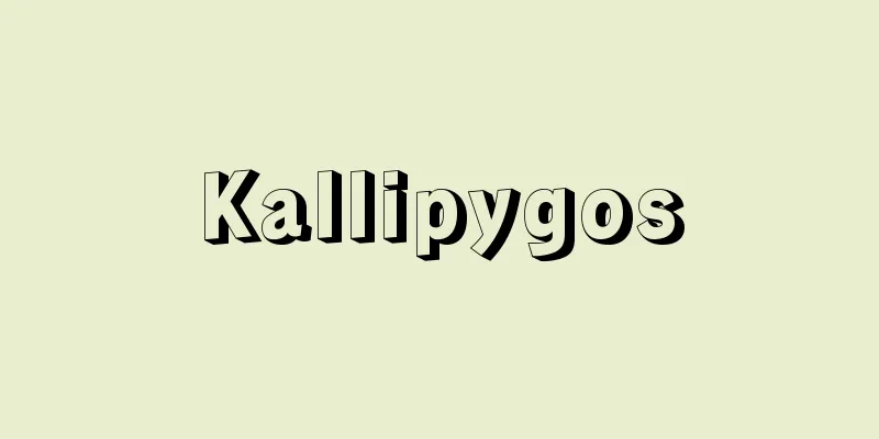 Kallipygos